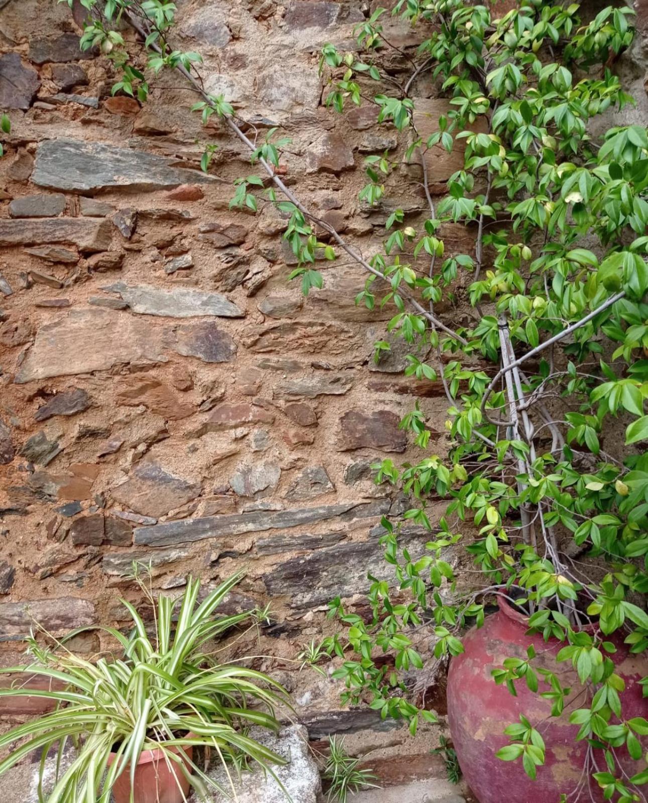 Ceclavinn Casa Rural Exterior photo